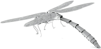 Dragonfly Bouwpakket -2