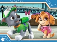 Paw Patrol Puzzel (4 in a box)-2