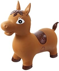 Skippy Buddy - Paard