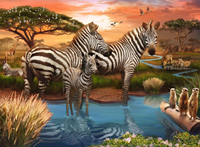 Zebra´s bij de drinkplaats Puzzel (500 stukjes)-2