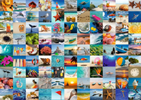 99 Momenten aan zee Puzzel (1000 stukjes)-2