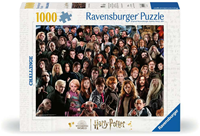 Harry Potter - Harry Potter Puzzel (1000 stukjes)