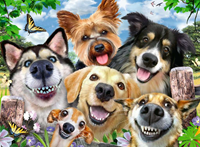 Vrolijke Honden Puzzel (500 stukjes)-2