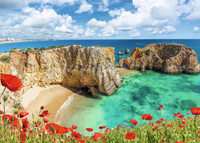 Klaprozen in de Algarve, Portugal Puzzel (1000 stukjes)-2