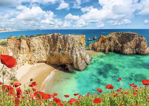 Klaprozen in de Algarve, Portugal Puzzel (1000 stukjes)-2
