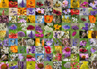 99 bijen Puzzel (1000 stukjes)-2