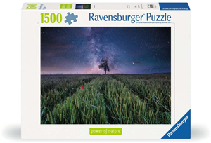 Nachthemel Boven het Korenveld Puzzel (1500 stukjes)