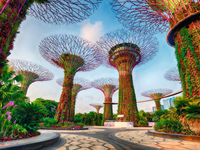 Singapore Puzzel (1500 stukjes)-2