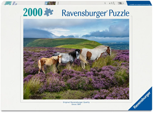 Wild Horses in the Heather Puzzel (2000 stukjes)