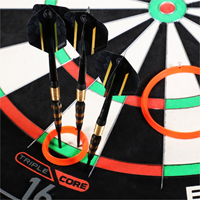 Simon Whitlock's Practice rings-3