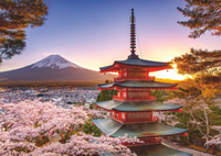 Kersenbloesem bij de Fuji Berg Puzzel (1000 stukjes)-2
