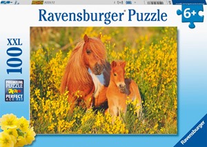 Afbeelding van het spelletje Shetland Pony's Puzzel (100 XXL stukjes)