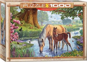 Afbeelding van het spelletje The Fell Ponies Puzzel (1000 stukjes)