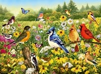 Vogels In De Wei Puzzel (500 stukjes)-2