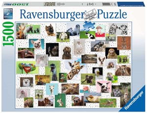 Afbeelding van het spel Funny Animals Puzzel (1500 stukjes)