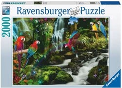 Bonte Papegaaien In De Jungle Puzzel (2000 stukjes)