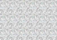 Challenge Puzzel - My Little Pony (1000 stukjes)-2