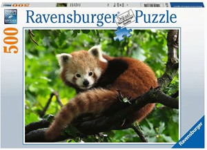 Afbeelding van het spel Schattige Rode Panda Puzzel (500 stukjes)