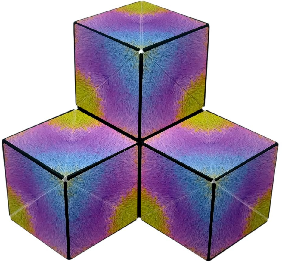 Magic Puzzle - Shapeshifter - kopen bij Spellenrijk.nl