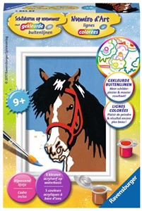 Afbeelding van het spel Schilderen op Nummer - Paardenblik