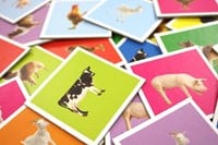 Lotto - Boerderijdieren-3