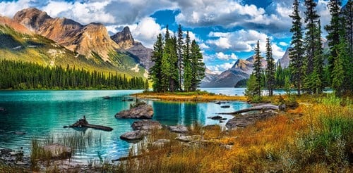 The Spirit Island Puzzel (4000 stukjes)-2