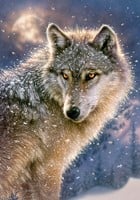 Lone Wolf Puzzel (500 stukjes)-2
