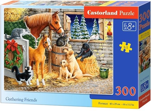 Gathering friends Puzzel (300 stukjes)