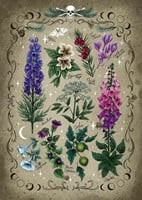 Giftige Planten Puzzel (1000 stukjes)-2