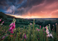 Dreamy Thunder Puzzel (1000 stukjes)-2