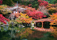 Daigo-ji Kyoto Japan Puzzel (1000 stukjes)-2