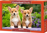 Welsh Corgi Puppies Puzzel (1000 stukjes)