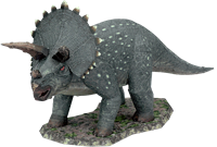 Triceratops in Color Bouwpakket