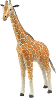 Giraffe Bouwpakket 