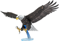 American Bald Eagle - Premium Series Bouwpakket 