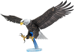 American Bald Eagle - Premium Series Bouwpakket 