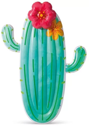 Intex Cactus Luchtbed