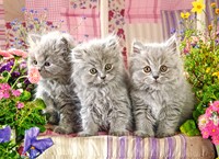 Three Grey Kittens Puzzel (300 stukjes)-2