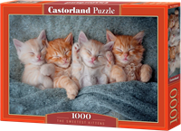 The Sweetest Kittens Puzzel (1000 stukjes)
