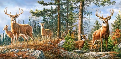Royal Deer Family Puzzel (4000 stukjes)-2