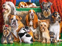 Dog Club Puzzel (3000 stukjes)-2