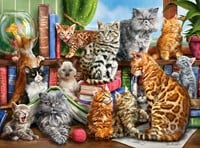 House of Cats Puzzel (2000 stukjes)-2