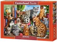 House of Cats Puzzel (2000 stukjes)