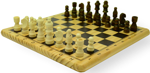 HOT Games Schaak & Dam-Set (29cm)