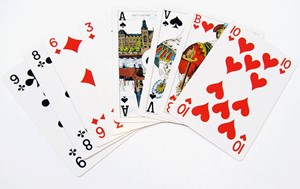 Speelkaarten Black Jaguar black jaguar kopen in de aanbieding