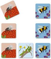 Bugs Buddy - Bordspel-2