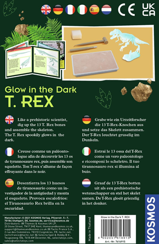 Glow in the Dark T-REX-3