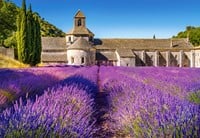 Lavender Field in Provence, France Puzzel (1000 stukjes)-2