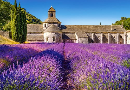 Lavender Field in Provence, France Puzzel (1000 stukjes)-2