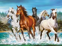 Call of Nature Puzzel (2000 stukjes)-2